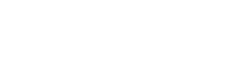 Etronik White Logo